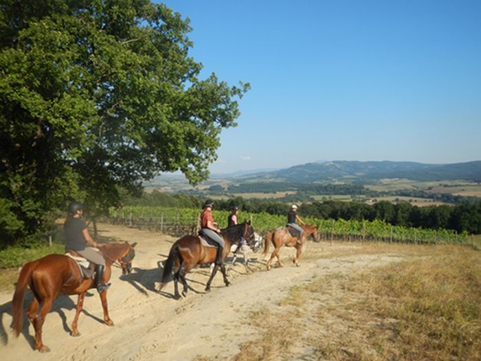 Horse riding and enjoyment in Montalcino