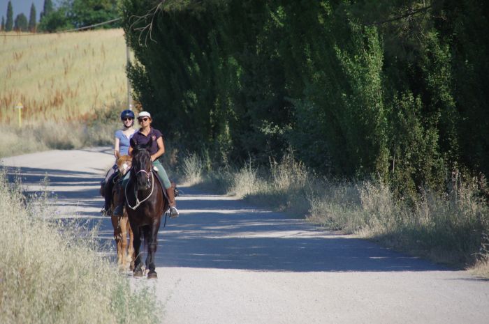Horse riding and enjoyment in Montalcino