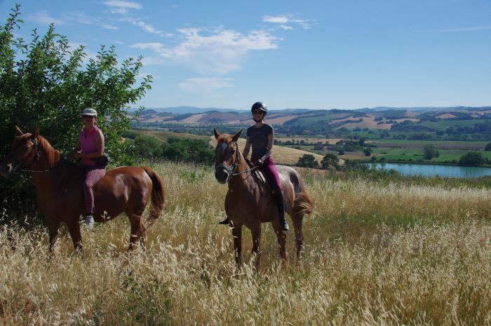 Horse riding and enjoyment in Montalcino