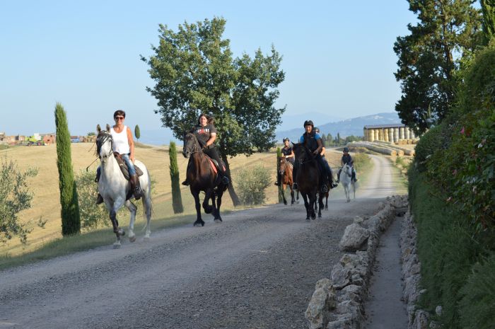 Horse riding and enjoyment in Montalcino