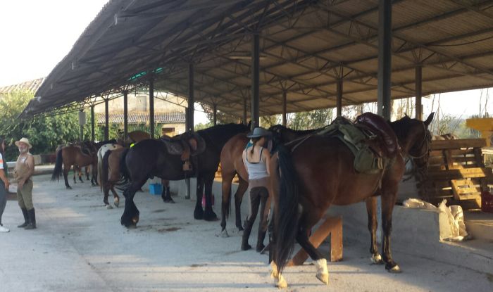 Horse riding and enjoyment in Montalcino