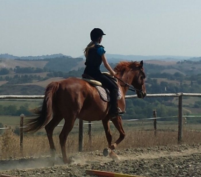 Horse riding and enjoyment in Montalcino
