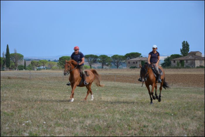 Horse riding and enjoyment in Montalcino