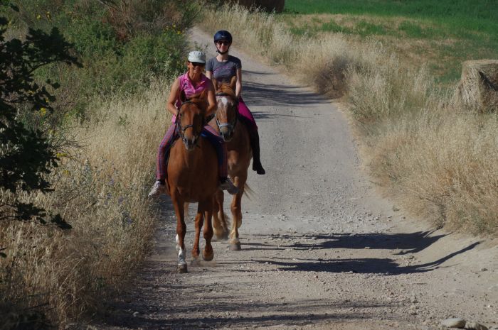 Horse riding and enjoyment in Montalcino
