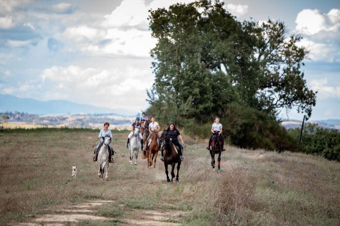 Horse riding and enjoyment in Montalcino