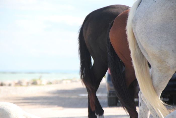 Trail Riding in Abruzzo