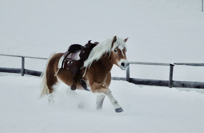 Alpine Rides in South Tyrol