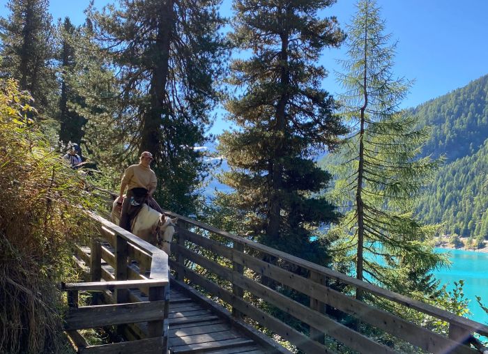 Alpine Rides in South Tyrol