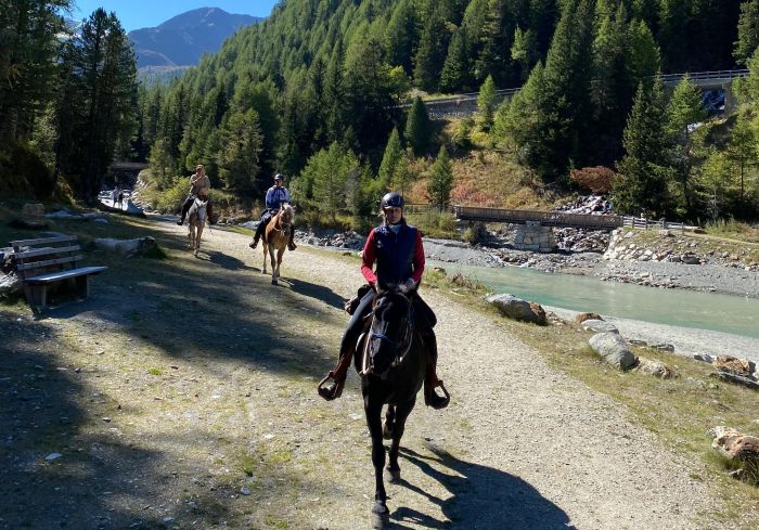 Alpine Rides in South Tyrol