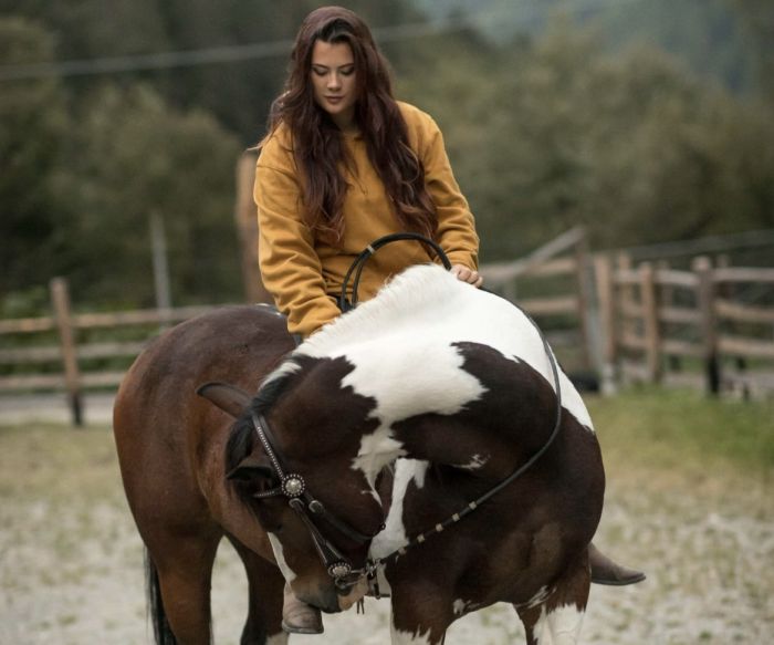 Alpine Rides in South Tyrol