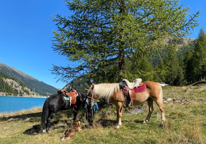 Alpine Rides in South Tyrol