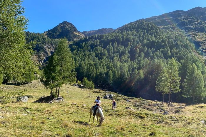 Alpine Rides in South Tyrol
