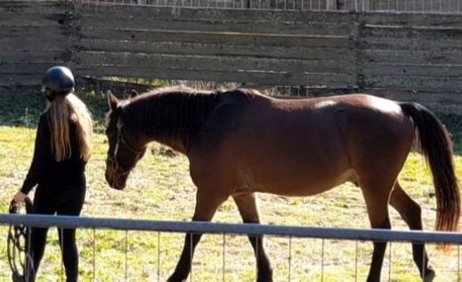 Horsemanship on the Costa Smeralda