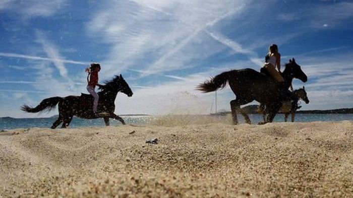 Horsemanship on the Costa Smeralda