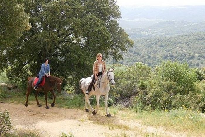 Horsemanship on the Costa Smeralda