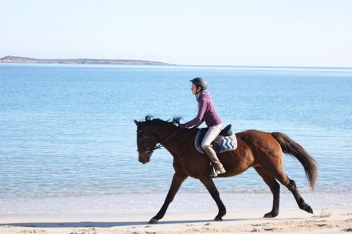 Horsemanship on the Costa Smeralda