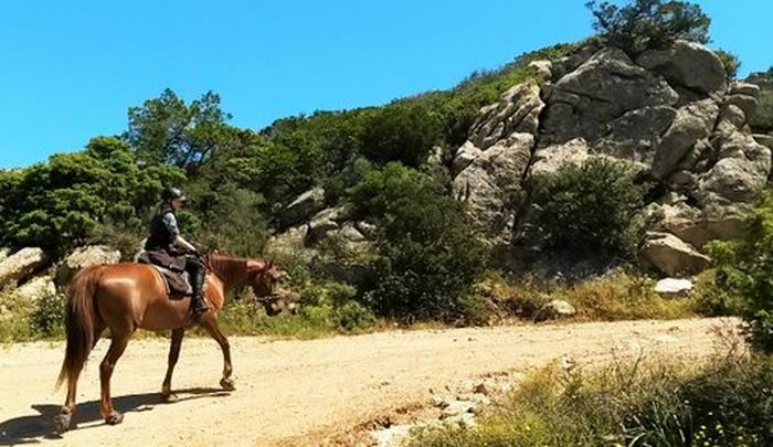 Horsemanship on the Costa Smeralda