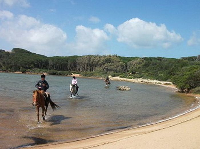 Horsemanship on the Costa Smeralda