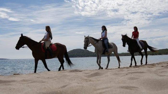 Horsemanship on the Costa Smeralda