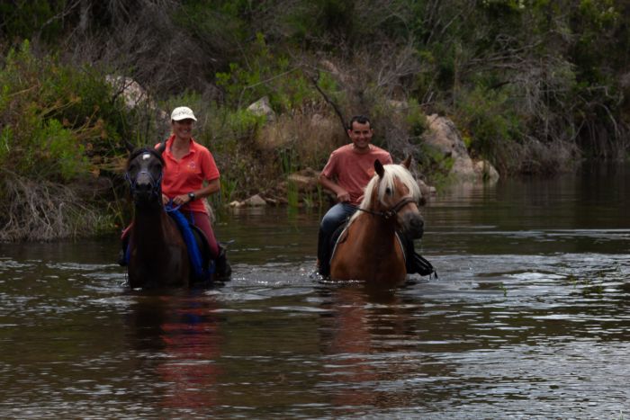 Horsemanship on the Costa Smeralda