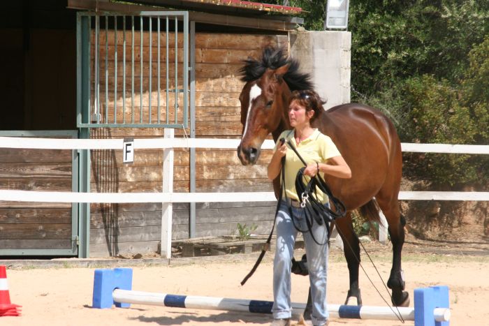 Horsemanship on the Costa Smeralda