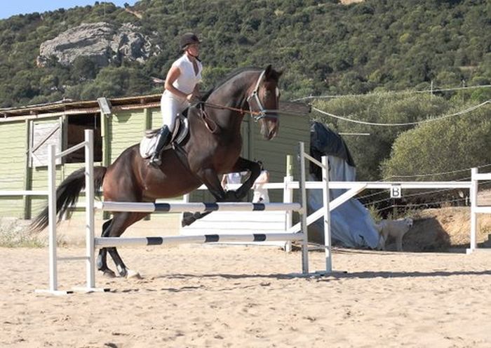 Horsemanship on the Costa Smeralda