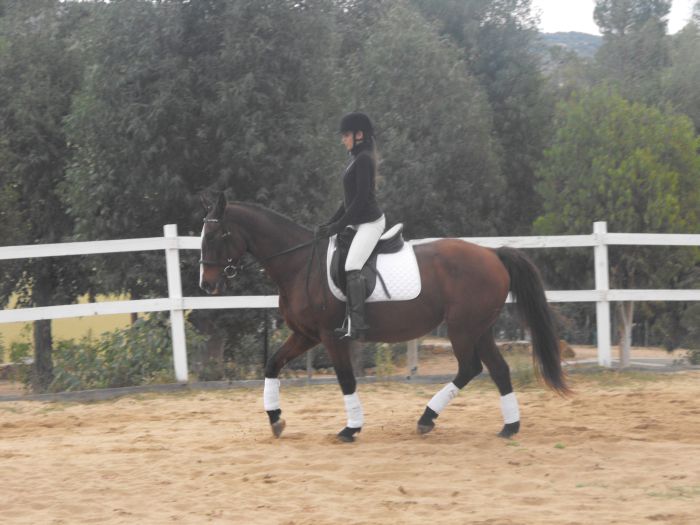 Horsemanship on the Costa Smeralda