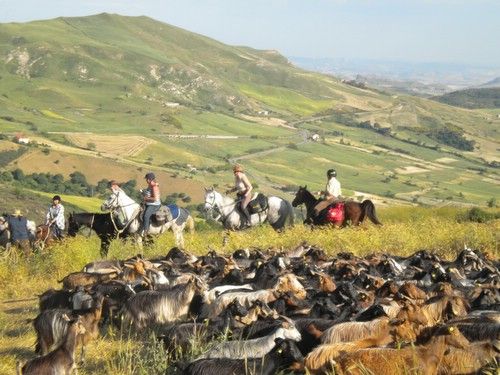 Etna Nature Park Trail with Comfort