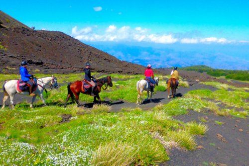 Etna Nature Park Trail with Comfort