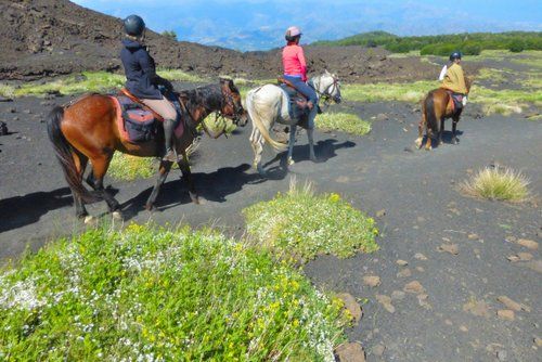 Etna Nature Park Trail with Comfort