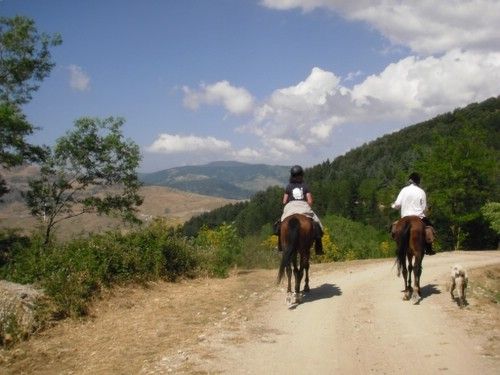 Etna Nature Park Trail with Comfort