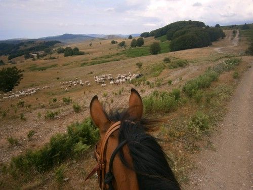 Etna Nature Park Trail with Comfort