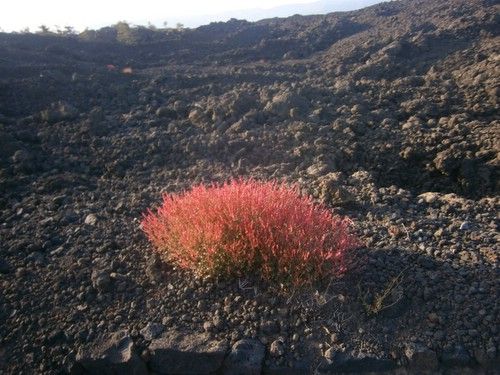 Etna Nature Park Trail with Comfort
