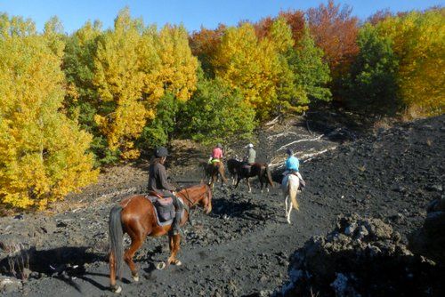 Etna Nature Park Trail with Comfort