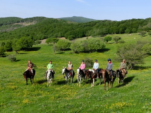 Etna Nature Park Trail with Comfort