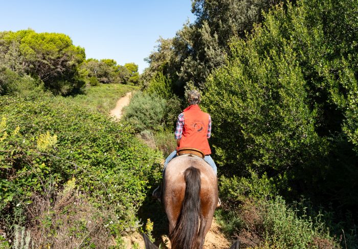 Between sea and Maremma