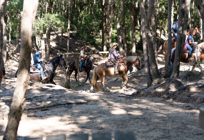 Between sea and Maremma