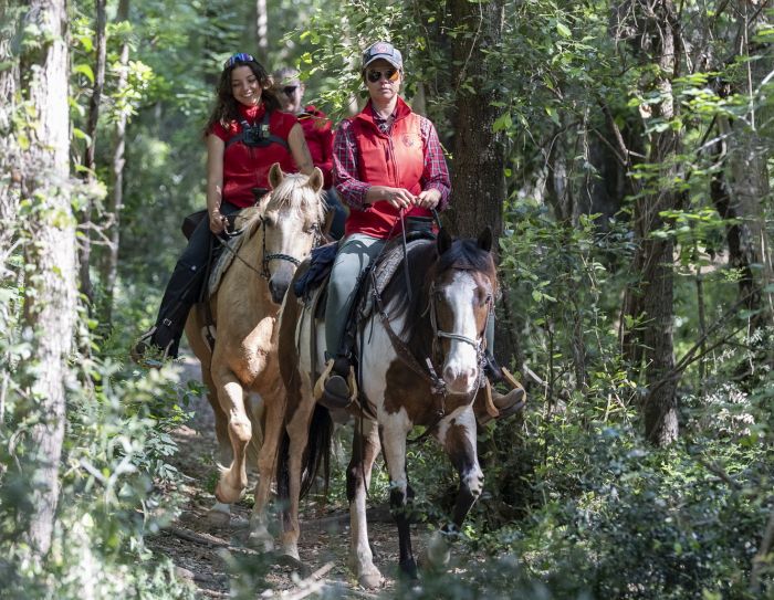 Between sea and Maremma