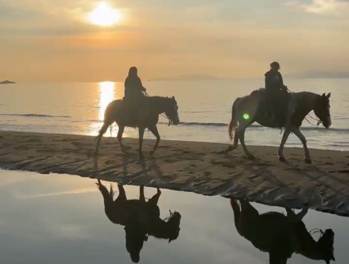 Between sea and Maremma