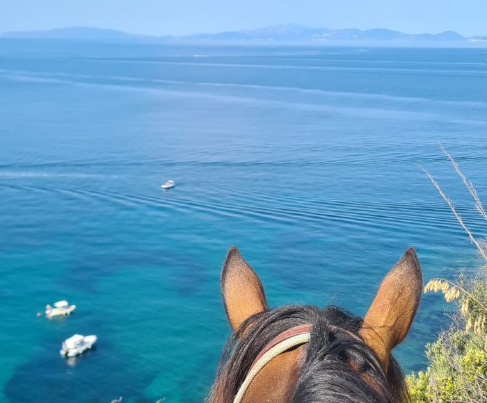 Between sea and Maremma