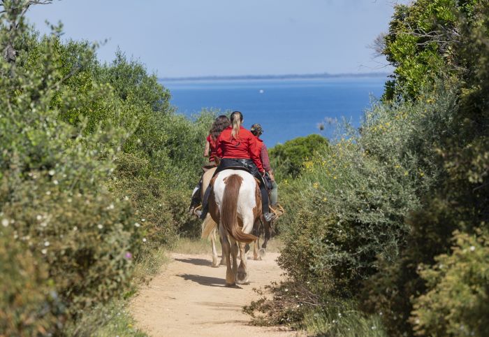 Between sea and Maremma
