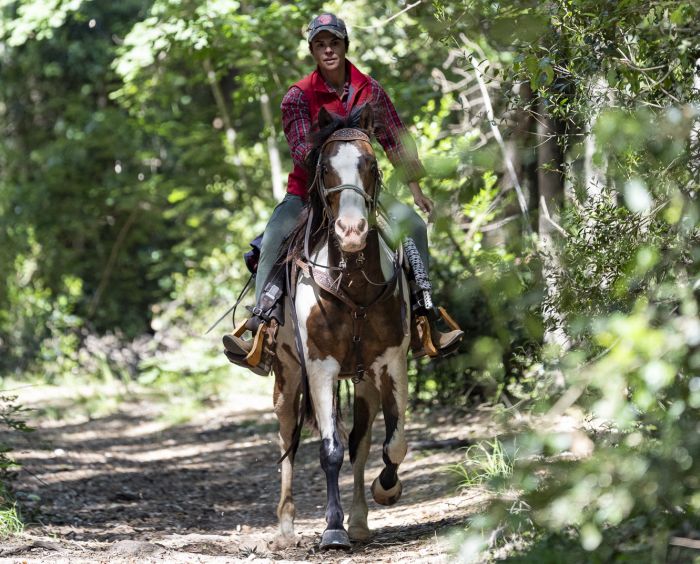 Between sea and Maremma