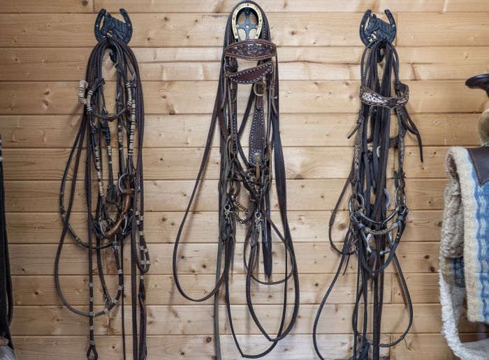 Between sea and Maremma