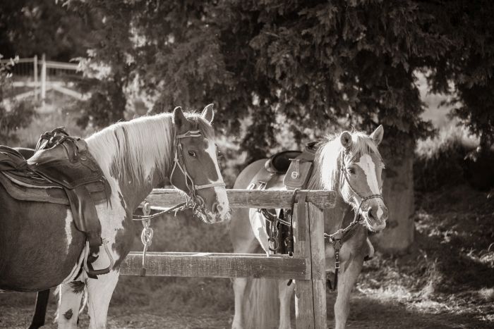 Between sea and Maremma