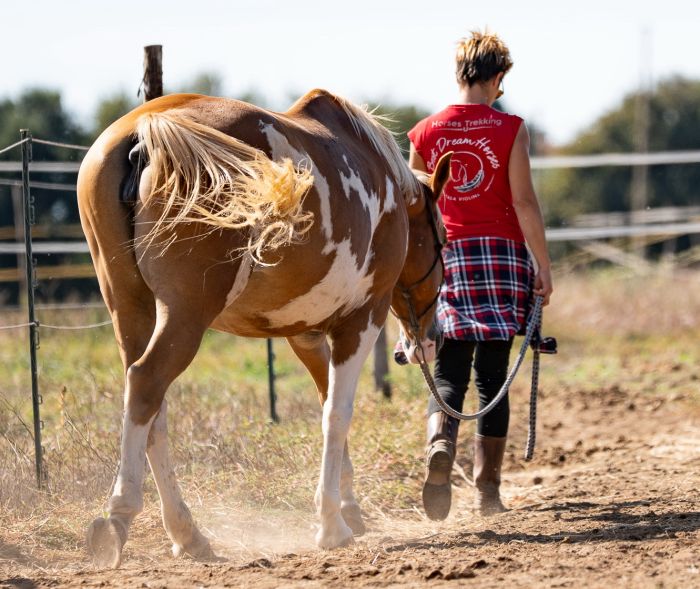 Between sea and Maremma