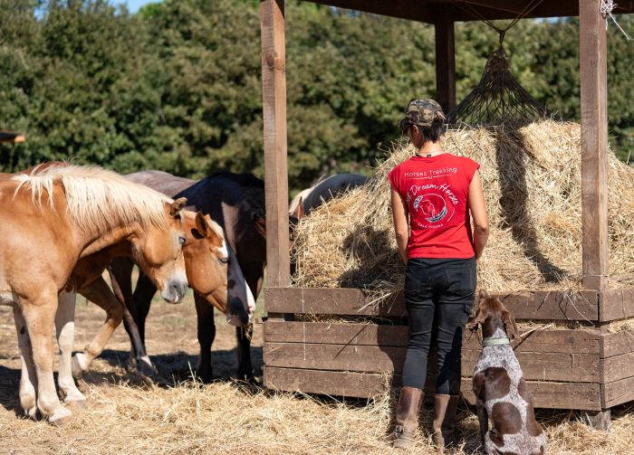 Between sea and Maremma