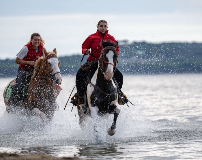 Between sea and Maremma