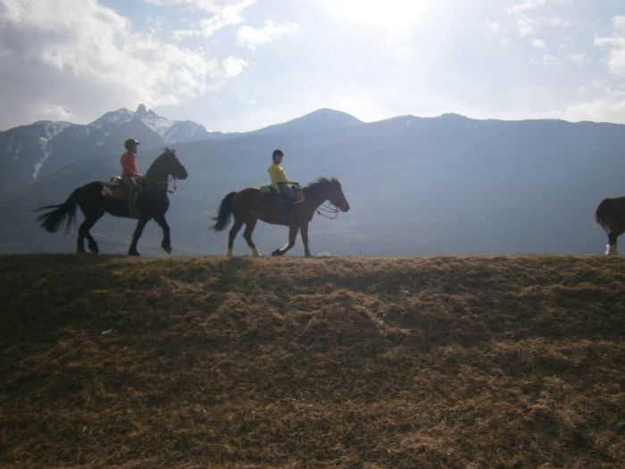 Riding holiday in the Valais Alps