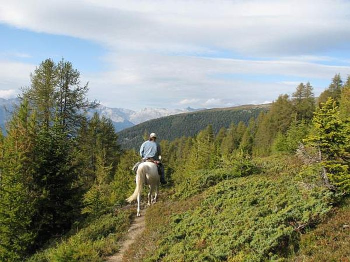 Riding holiday in the Valais Alps