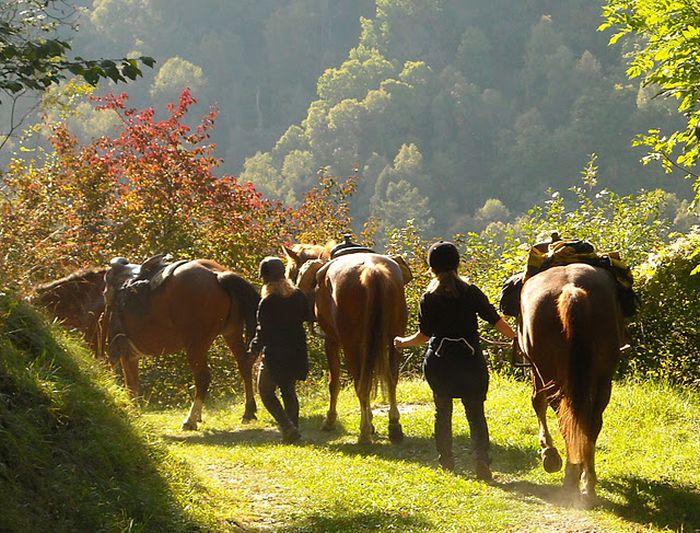 Riding holiday in the Valais Alps
